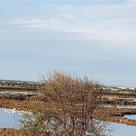 Refait A Neuf Ave St Maurice Appartement *